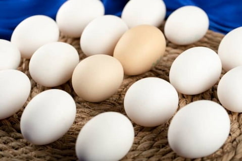 تصویر 3 از خرید و قیمت تخم مرغ شانه ۳۰ عددی + فروش عمده